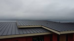 Best Roof Coating and Sealing  in Englewood, CO